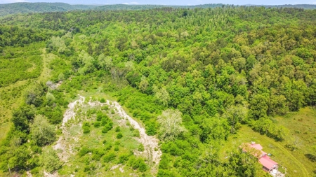 Hunting Property Surrounded by National Forest - image 20