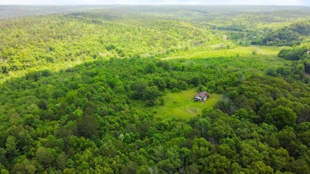 Hunting Property Surrounded by National Forest - image 5