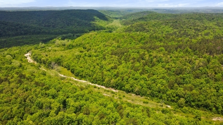 Hunting Property Surrounded by National Forest - image 12