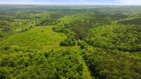 Hunting Property Surrounded by National Forest - image 8