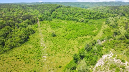 Hunting Property Surrounded by National Forest - image 21