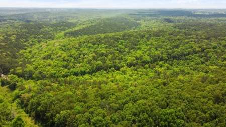 Hunting Property Surrounded by National Forest - image 9