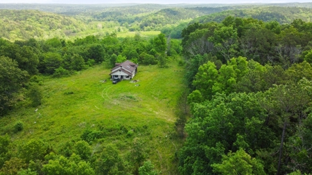Hunting Property Surrounded by National Forest - image 4