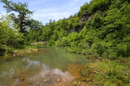 Hunting Property Surrounded by National Forest - image 15