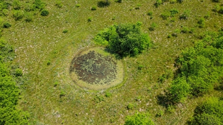 Hunting Property Surrounded by National Forest - image 2