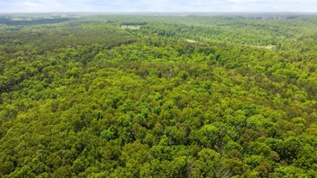 Hunting Property Surrounded by National Forest - image 10
