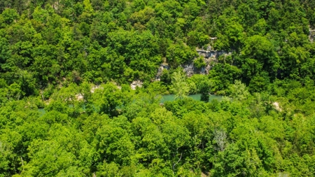 Hunting Property Surrounded by National Forest - image 6