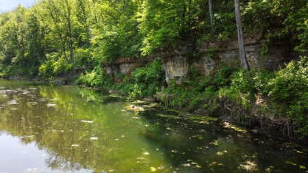 Hunting Property Surrounded by National Forest - image 1