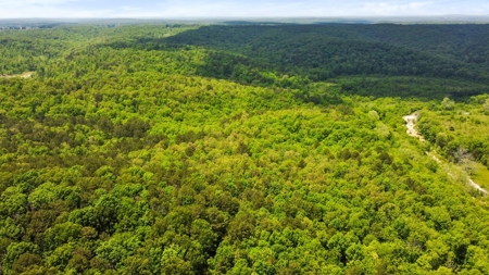 Hunting Property Surrounded by National Forest - image 11