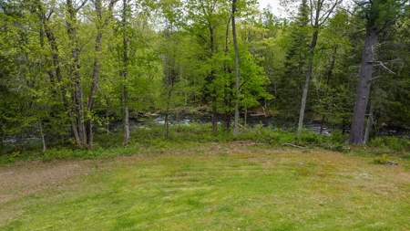 Home on Trout Stream - image 12