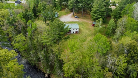 Home on Trout Stream - image 1
