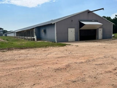 Commercial Egg Farm Quitman Texas - image 4