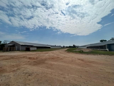 Commercial Egg Farm Quitman Texas - image 3