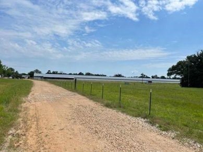 Commercial Egg Farm Quitman Texas - image 13
