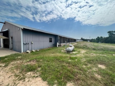 Commercial Egg Farm Quitman Texas - image 9