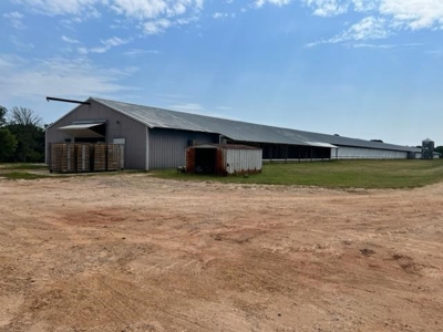 Commercial Egg Farm Quitman Texas - image 2