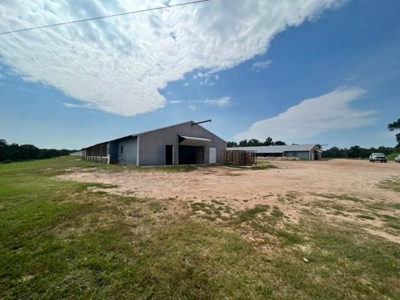 Commercial Egg Farm Quitman Texas - image 1