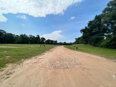 Commercial Egg Farm Quitman Texas - image 10
