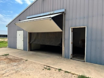 Commercial Egg Farm Quitman Texas - image 8