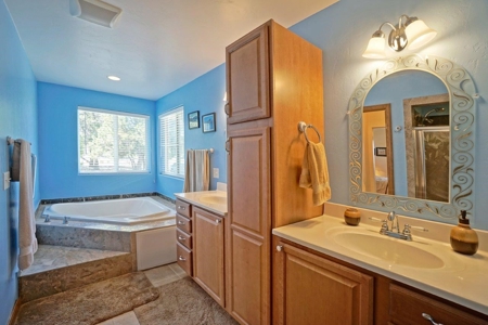 Mountain Home For Sale, Log Hill, Ridgway, Colorado - image 17