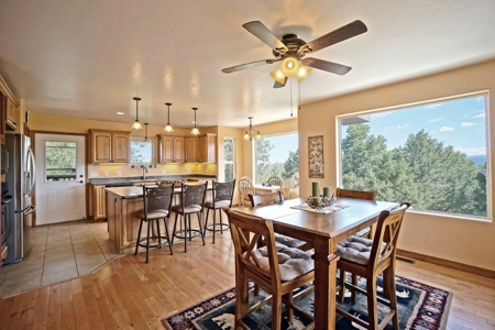 Mountain Home For Sale, Log Hill, Ridgway, Colorado - image 5