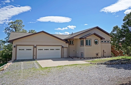 Mountain Home For Sale, Log Hill, Ridgway, Colorado - image 2