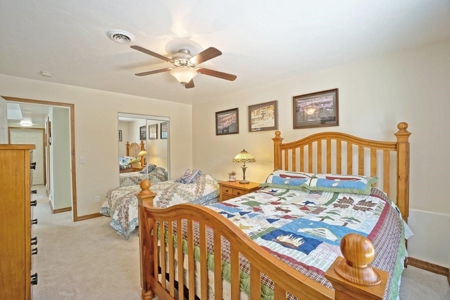 Mountain Home For Sale, Log Hill, Ridgway, Colorado - image 24