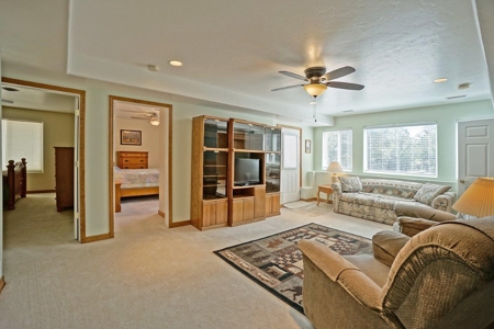 Mountain Home For Sale, Log Hill, Ridgway, Colorado - image 26