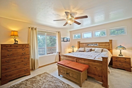 Mountain Home For Sale, Log Hill, Ridgway, Colorado - image 19