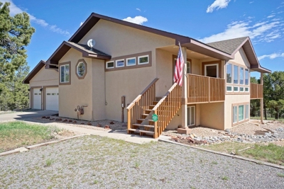 Mountain Home For Sale, Log Hill, Ridgway, Colorado