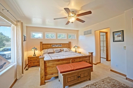 Mountain Home For Sale, Log Hill, Ridgway, Colorado - image 20