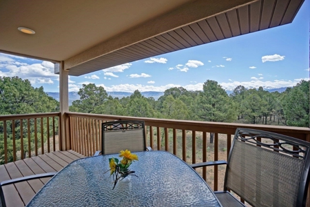 Mountain Home For Sale, Log Hill, Ridgway, Colorado - image 22