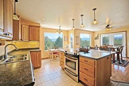 Mountain Home For Sale, Log Hill, Ridgway, Colorado - image 9