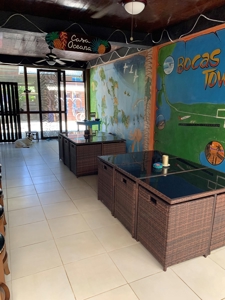 Titled BnB in Big Creek, Bocas del Toro - image 18