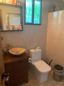 Titled BnB in Big Creek, Bocas del Toro - image 24