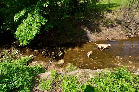 Southern Indiana Country Home - image 10