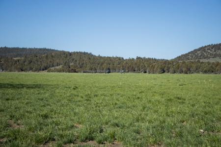 Dry Creek Ranch - Lakeview Oregon, Captivating Property - image 6