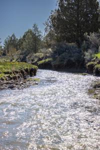 Dry Creek Ranch - Lakeview Oregon, Captivating Property - image 26