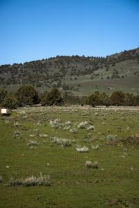 Dry Creek Ranch - Lakeview Oregon, Captivating Property - image 18