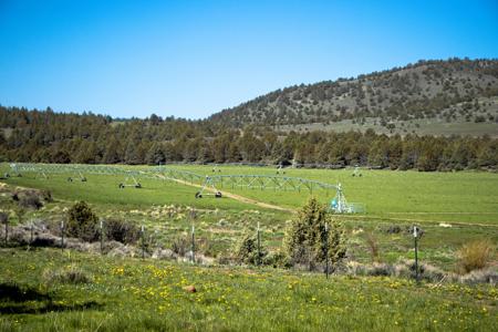 Dry Creek Ranch - Lakeview Oregon, Captivating Property - image 12