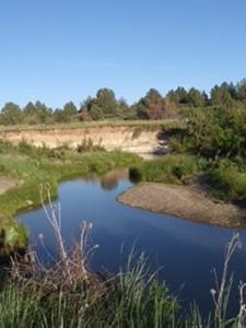 Dry Creek Ranch - Lakeview Oregon, Captivating Property - image 37