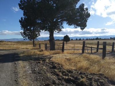 Dry Creek Ranch - Lakeview Oregon, Captivating Property - image 34