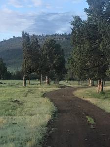 Dry Creek Ranch - Lakeview Oregon, Captivating Property - image 32