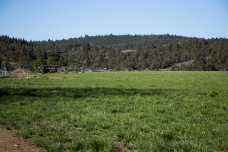 Dry Creek Ranch - Lakeview Oregon, Captivating Property - image 20