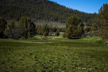 Dry Creek Ranch - Lakeview Oregon, Captivating Property - image 17