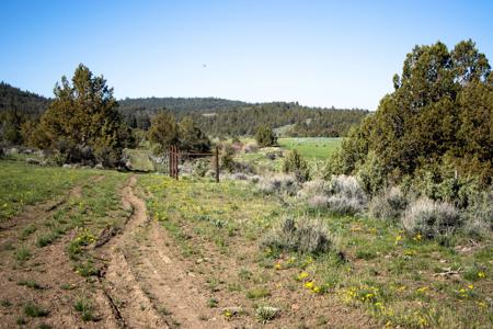 Dry Creek Ranch - Lakeview Oregon, Captivating Property - image 21