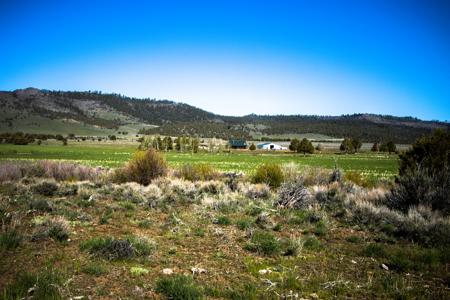 Dry Creek Ranch - Lakeview Oregon, Captivating Property - image 11