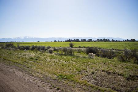 Dry Creek Ranch - Lakeview Oregon, Captivating Property - image 10