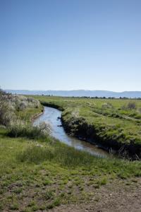 Dry Creek Ranch - Lakeview Oregon, Captivating Property - image 23