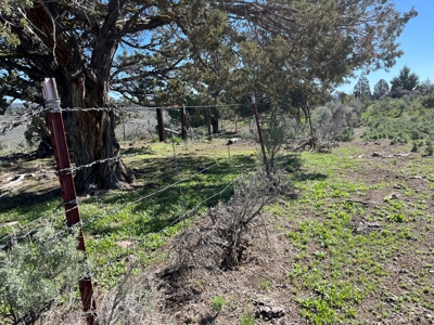 Eastern Oregon Acreage - Located outside of Hines - image 23